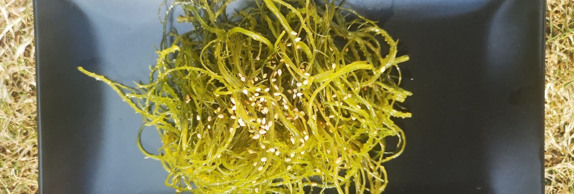 gracilaria med sesam