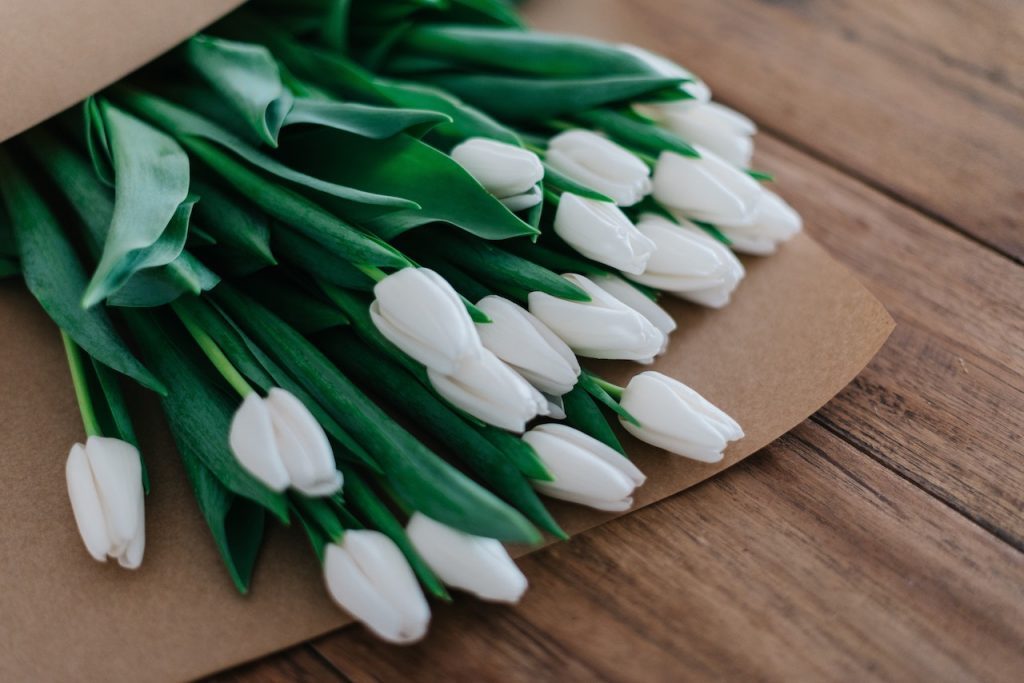 Hvide tulipaner