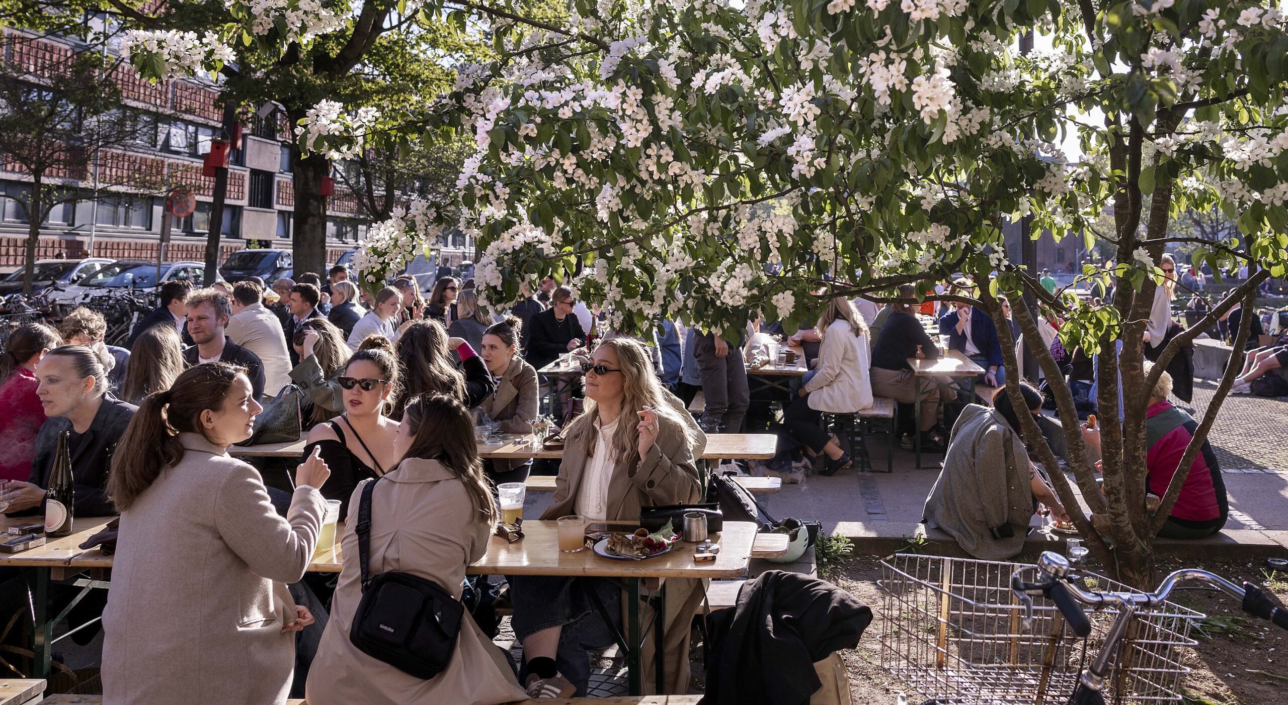 Heartbeats anbefaler: Tre ting til din weekend – og én ting, du ...